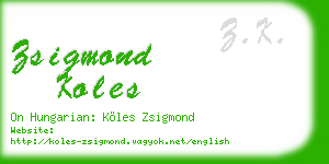 zsigmond koles business card